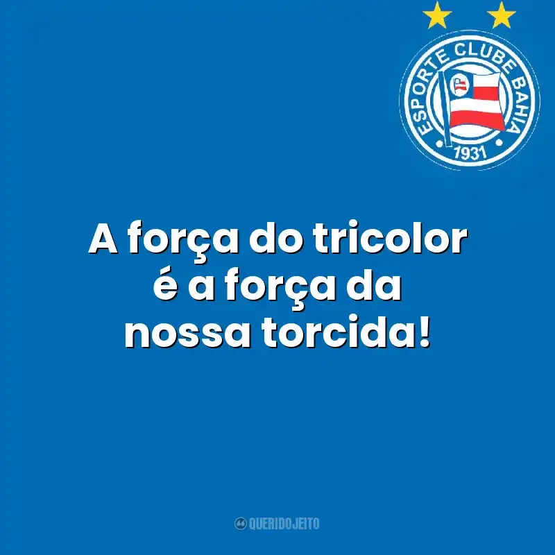 A força do tricolor é a força da nossa torcida! Esporte Clube Bahia