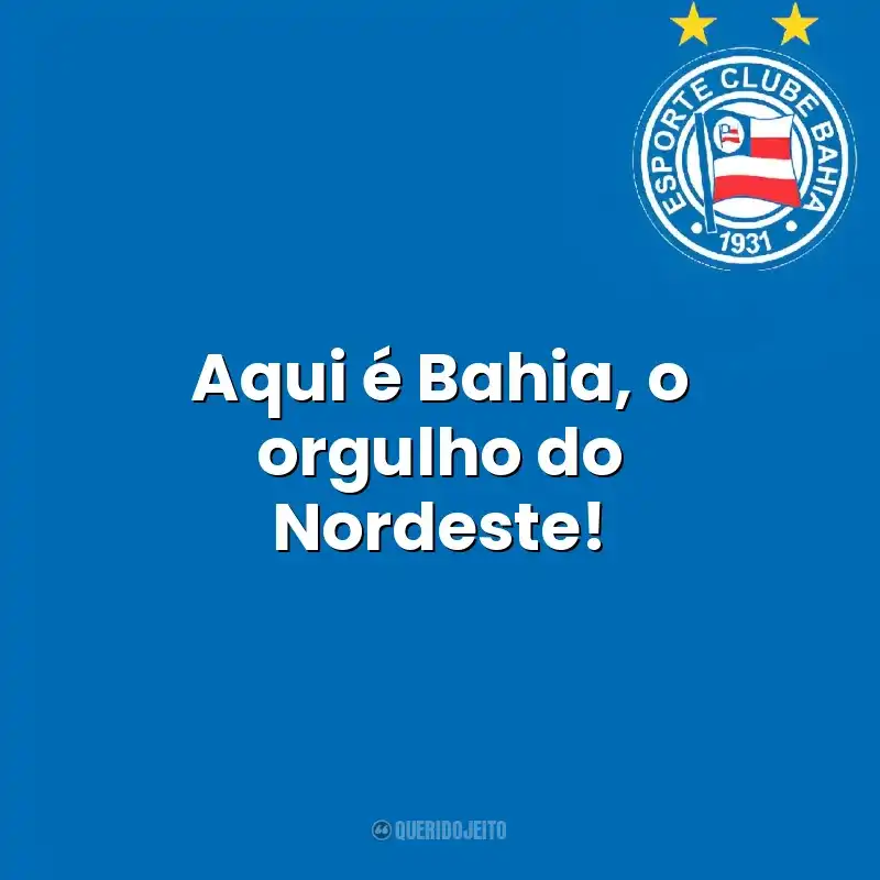 Frases de Esporte Clube Bahia time: Aqui é Bahia, o orgulho do Nordeste!
