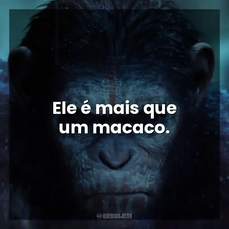 Ele é mais que um macaco. Planeta dos Macacos: O Confronto (Filme)