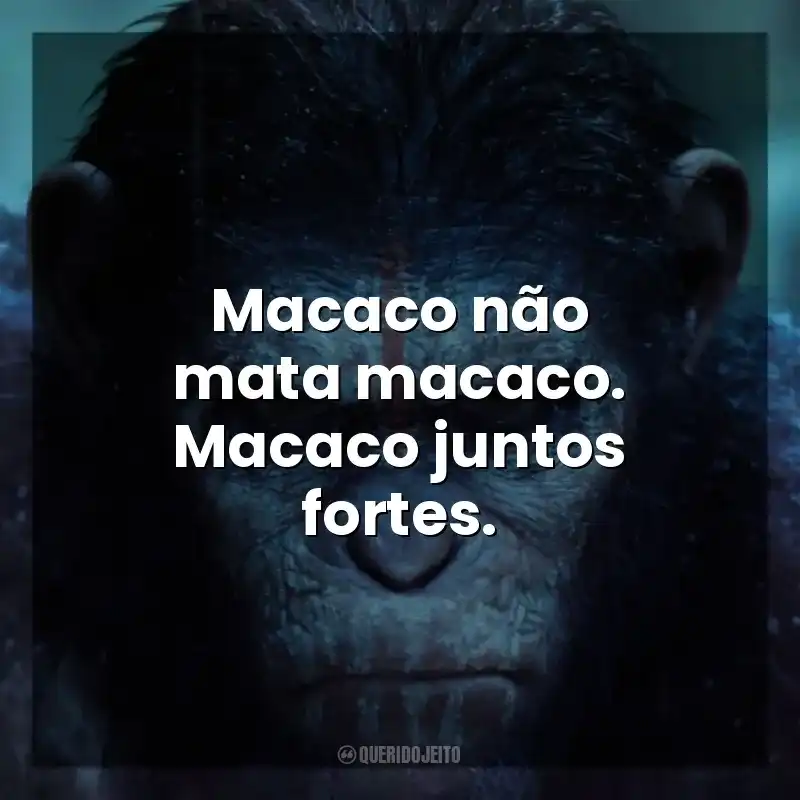 Macaco não mata macaco. Macaco juntos fortes. Planeta dos Macacos: O Confronto (Filme)