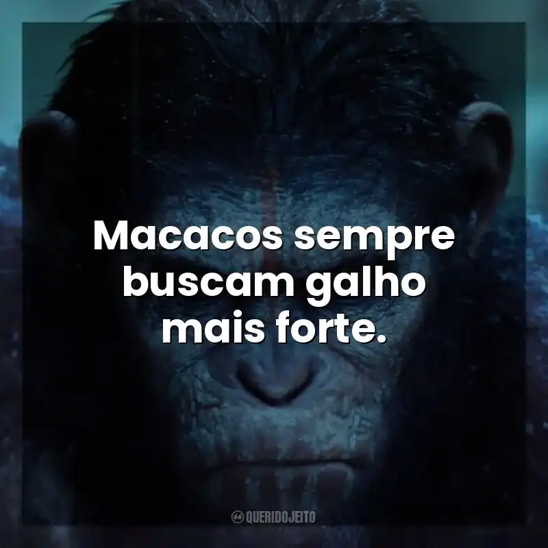 Macacos sempre buscam galho mais forte. Planeta dos Macacos: O Confronto (Filme)