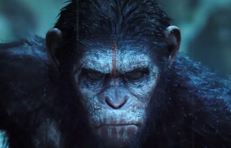Frases do Filme Planeta dos Macacos: O Confronto Frases do Filme Planeta dos Macacos: O Confronto