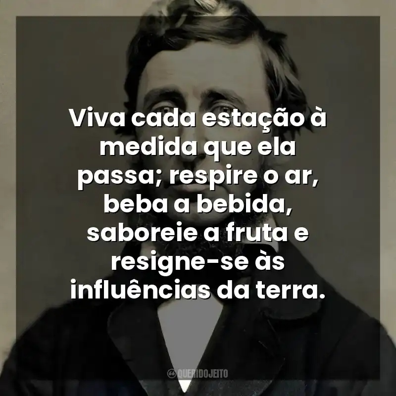 Viva cada estação à medida que ela passa; respire o ar, beba a bebida, saboreie a fruta e resigne-se às influências da terra. Henry David Thoreau
