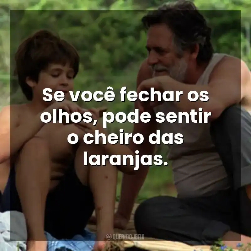 Se você fechar os olhos, pode sentir o cheiro das laranjas. Meu Pé de Laranja Lima (Filme)