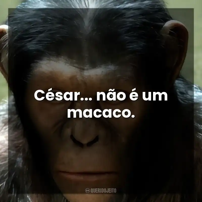 César… não é um macaco. Planeta dos Macacos: A Origem (Filme)