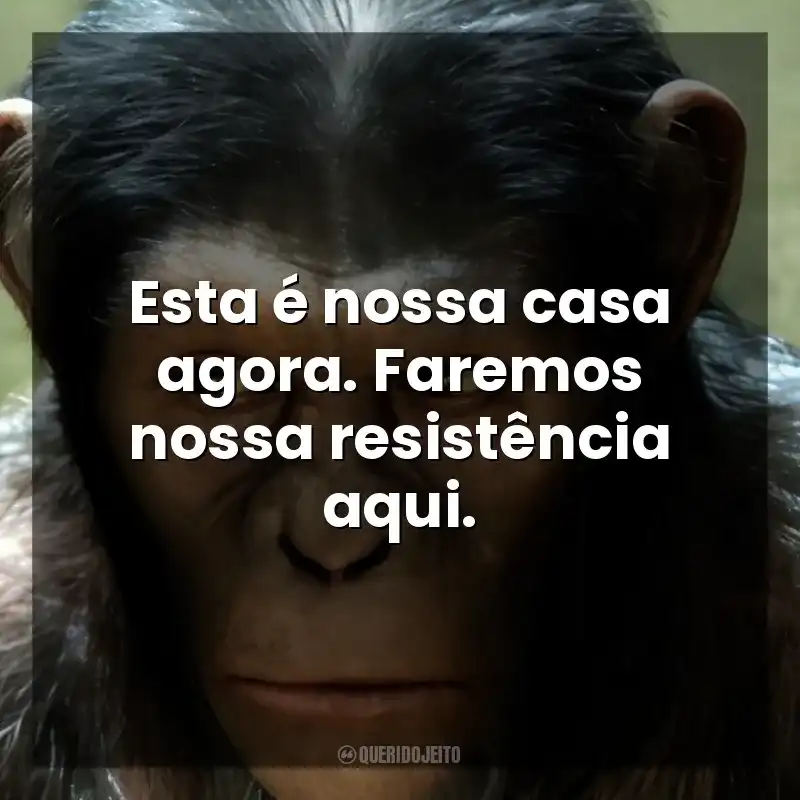 Frases de Planeta dos Macacos: A Origem filme: Esta é nossa casa agora. Faremos nossa resistência aqui.