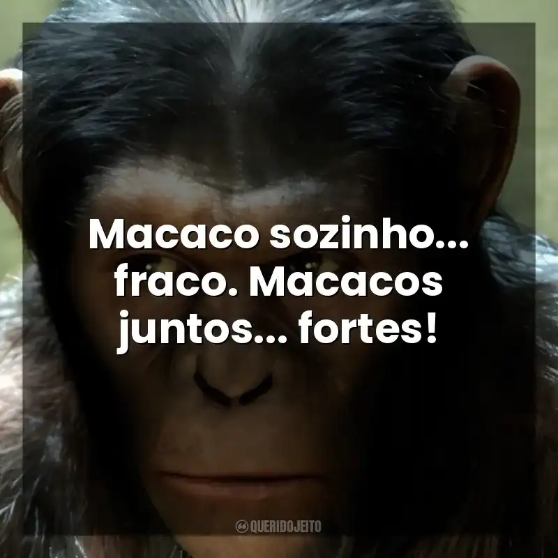 Macaco sozinho… fraco. Macacos juntos… fortes! Planeta dos Macacos: A Origem (Filme)