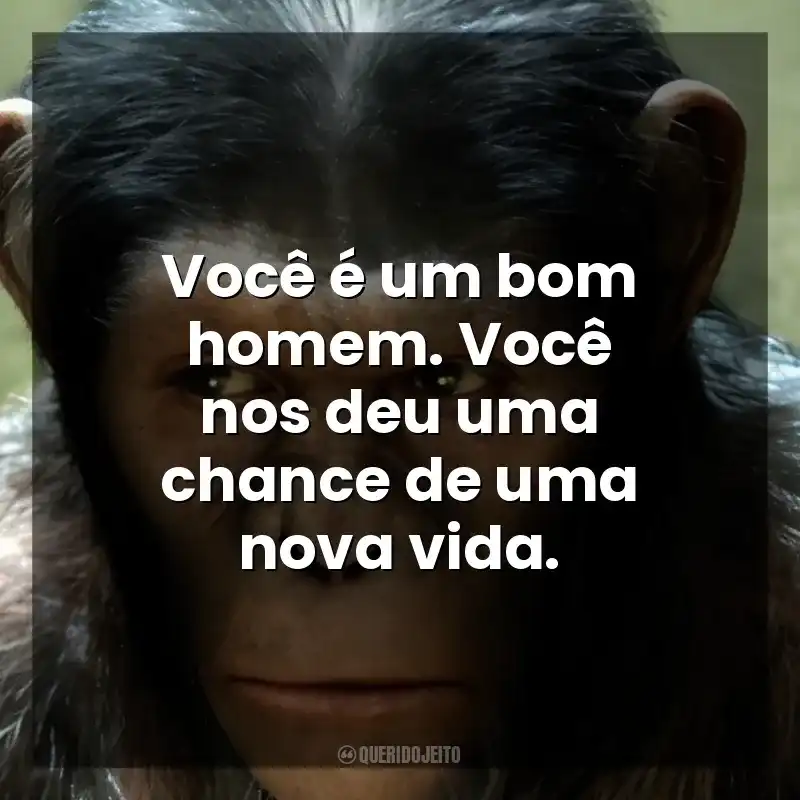 Você é um bom homem. Você nos deu uma chance de uma nova vida. Planeta dos Macacos: A Origem (Filme)