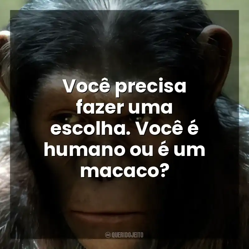 Você precisa fazer uma escolha. Você é humano ou é um macaco? Planeta dos Macacos: A Origem (Filme)