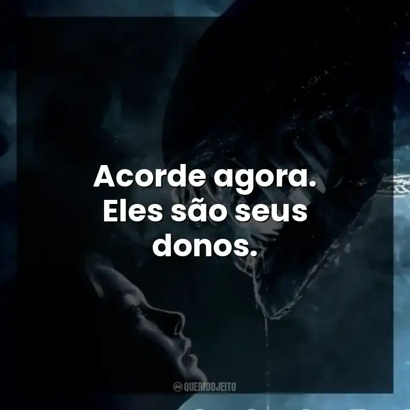 Acorde agora. Eles são seus donos.