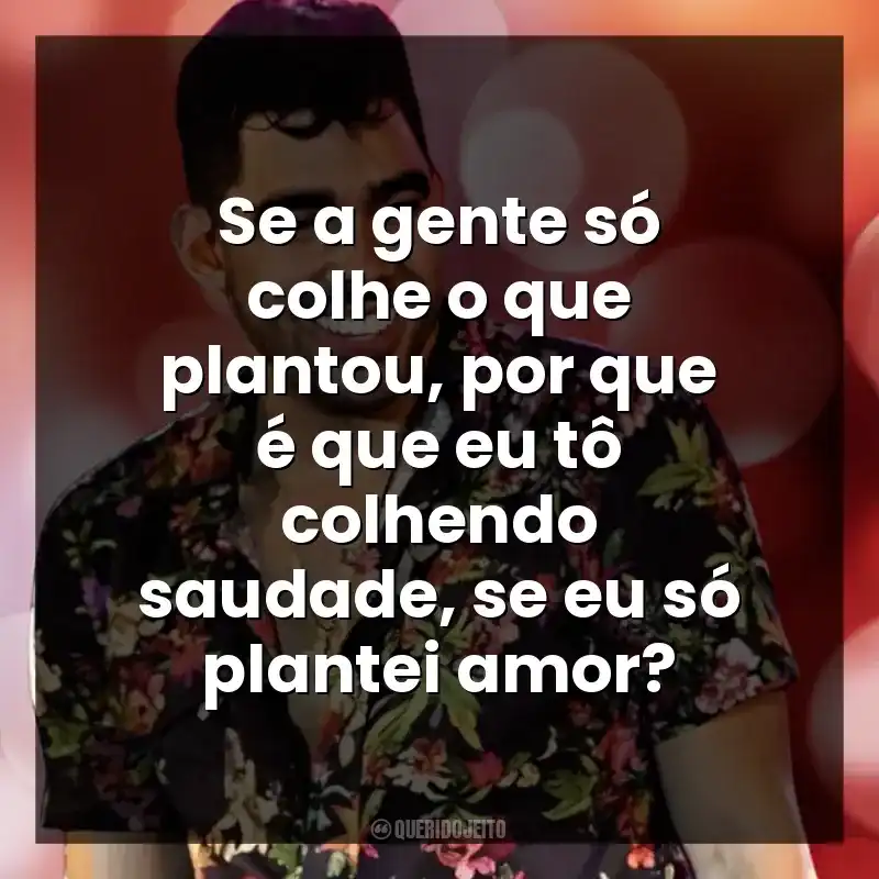 Se a gente só colhe o que plantou, por que é que eu tô colhendo saudade, se eu só plantei amor?
