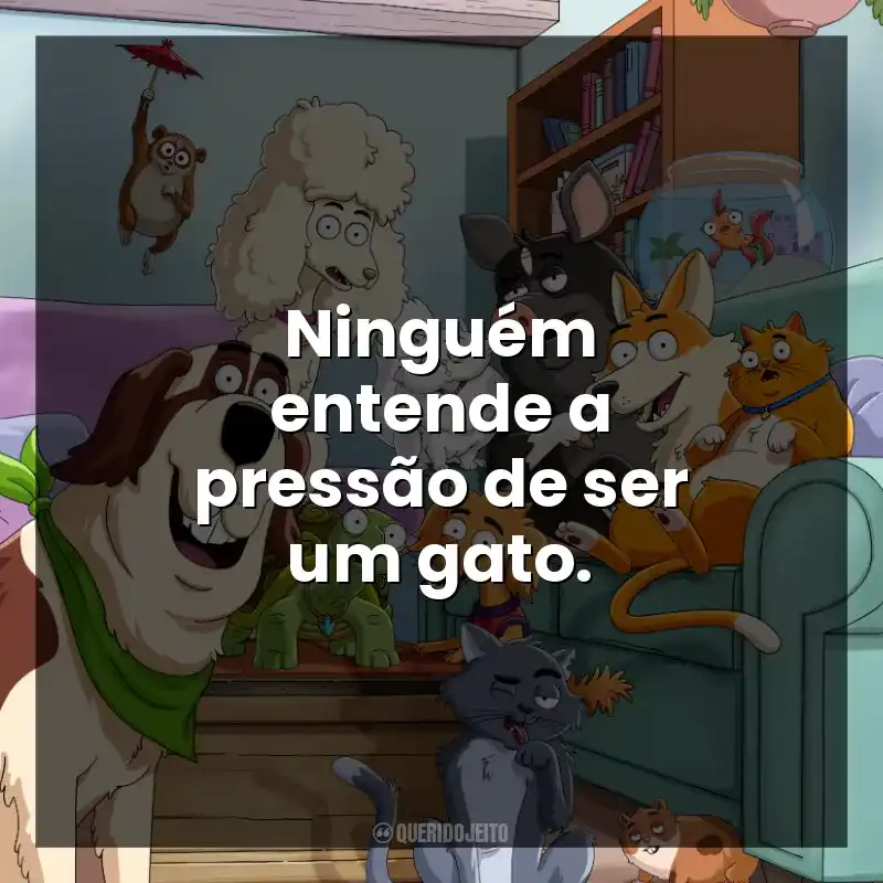 Ninguém entende a pressão de ser um gato.