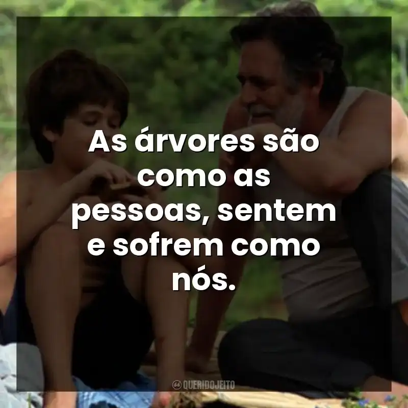 As árvores são como as pessoas, sentem e sofrem como nós.