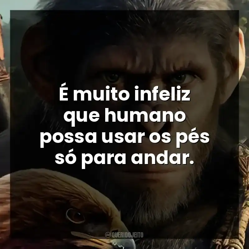 É muito infeliz que humano possa usar os pés só para andar.