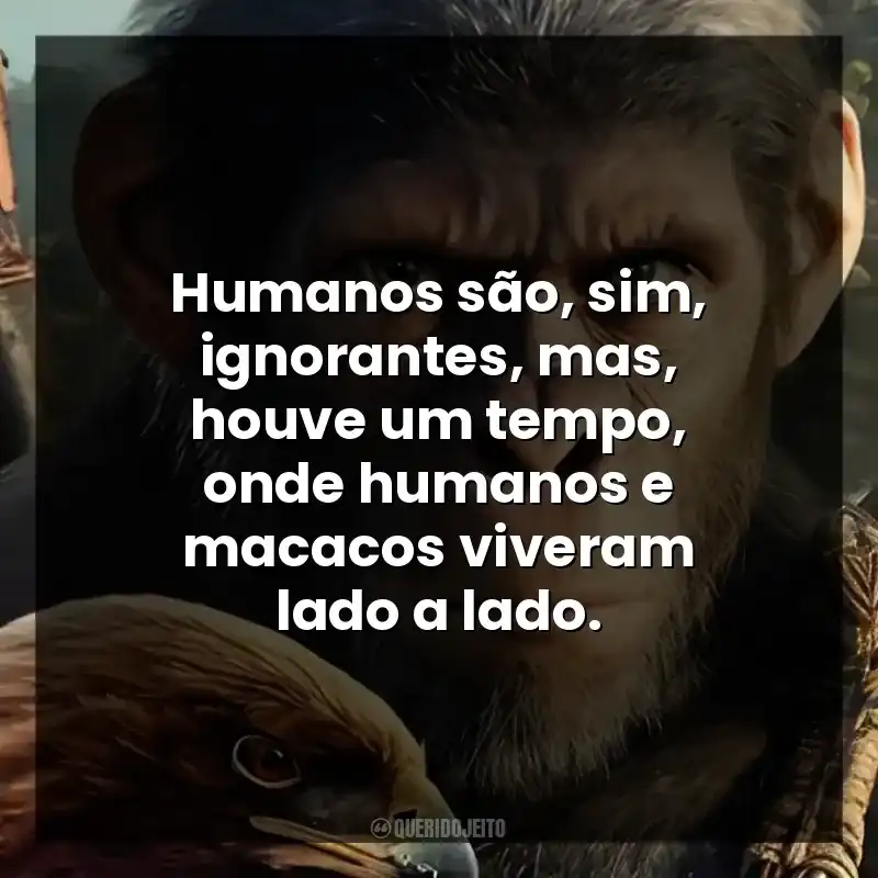 Humanos são, sim, ignorantes, mas, houve um tempo, onde humanos e macacos viveram lado a lado.