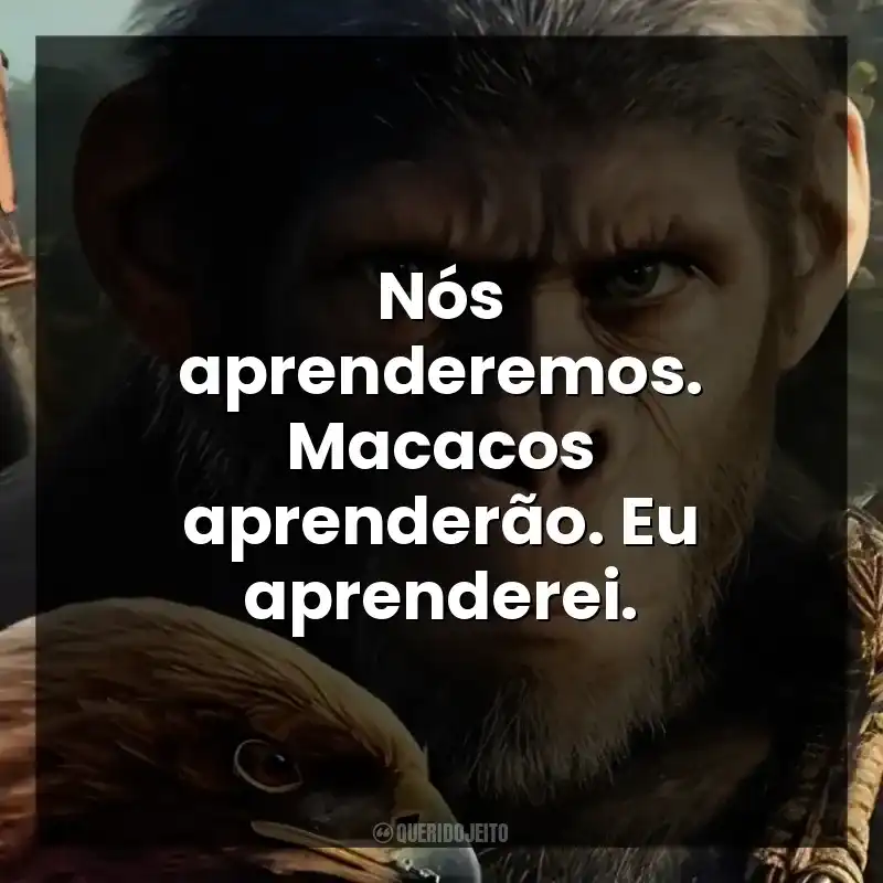 Nós aprenderemos. Macacos aprenderão. Eu aprenderei.