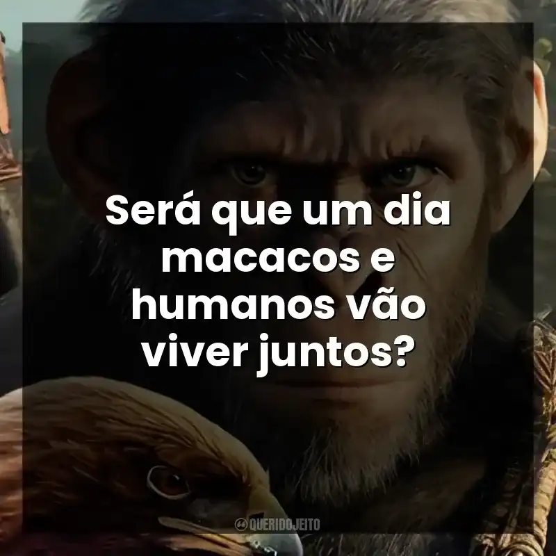 Será que um dia macacos e humanos vão viver juntos?
