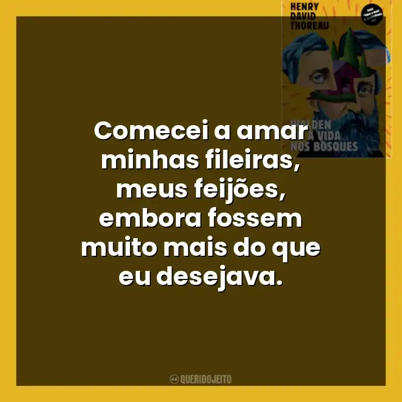 Comecei a amar minhas fileiras, meus feijões, embora fossem muito mais do que eu desejava.