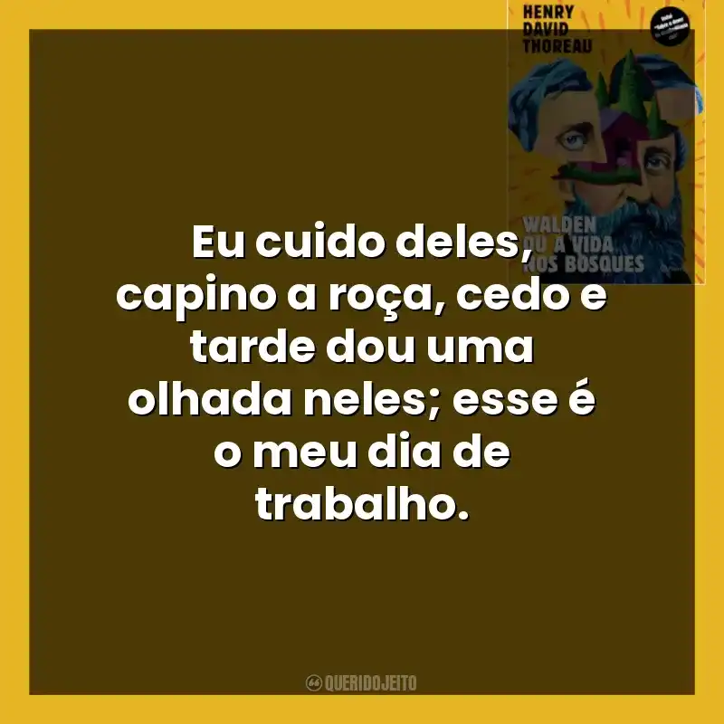 Eu cuido deles, capino a roça, cedo e tarde dou uma olhada neles; esse é o meu dia de trabalho.