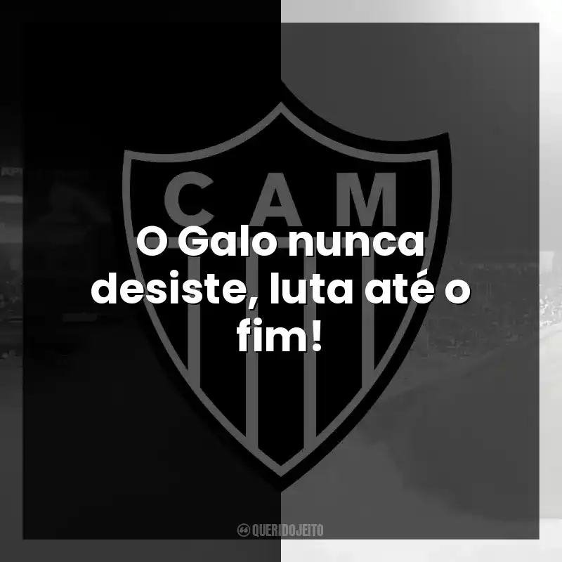 O Galo nunca desiste, luta até o fim!
