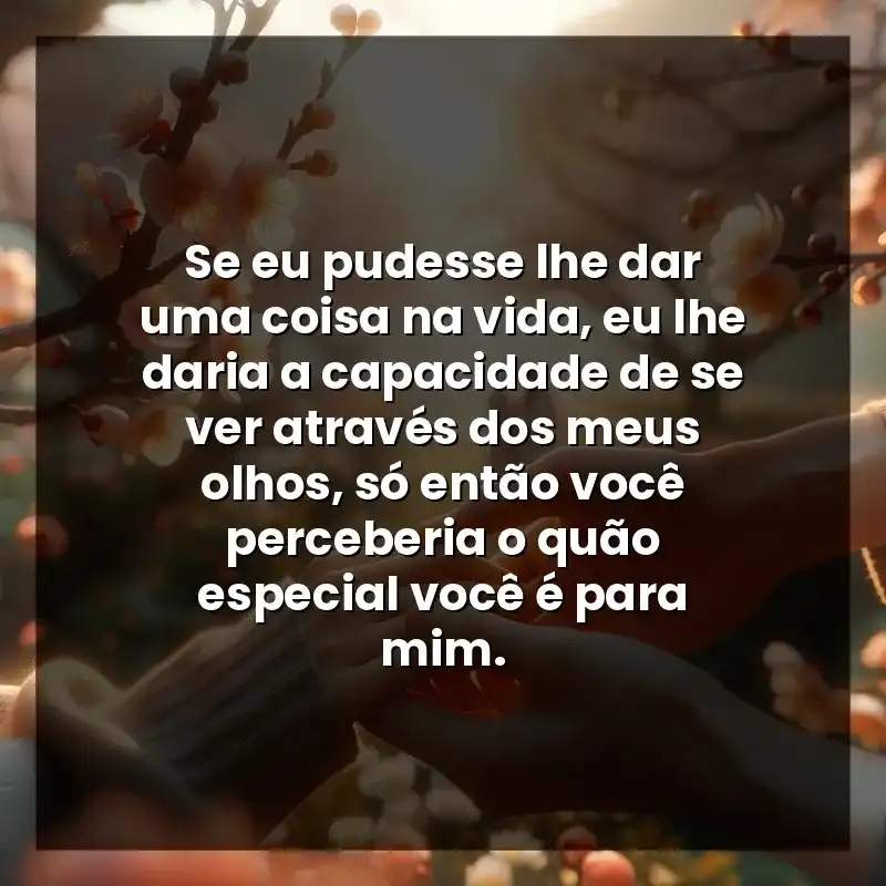 Se eu pudesse lhe dar uma coisa na vida, eu lhe daria a capacidade de se ver através dos meus olhos, só então você perceberia o quão especial você é para mim.