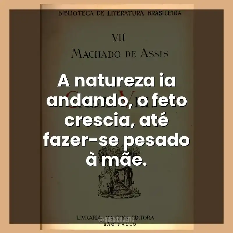 A natureza ia andando, o feto crescia, até fazer-se pesado à mãe.