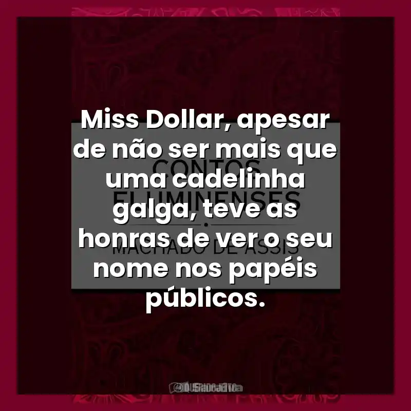Miss Dollar, apesar de não ser mais que uma cadelinha galga, teve as honras de ver o seu nome nos papéis públicos.