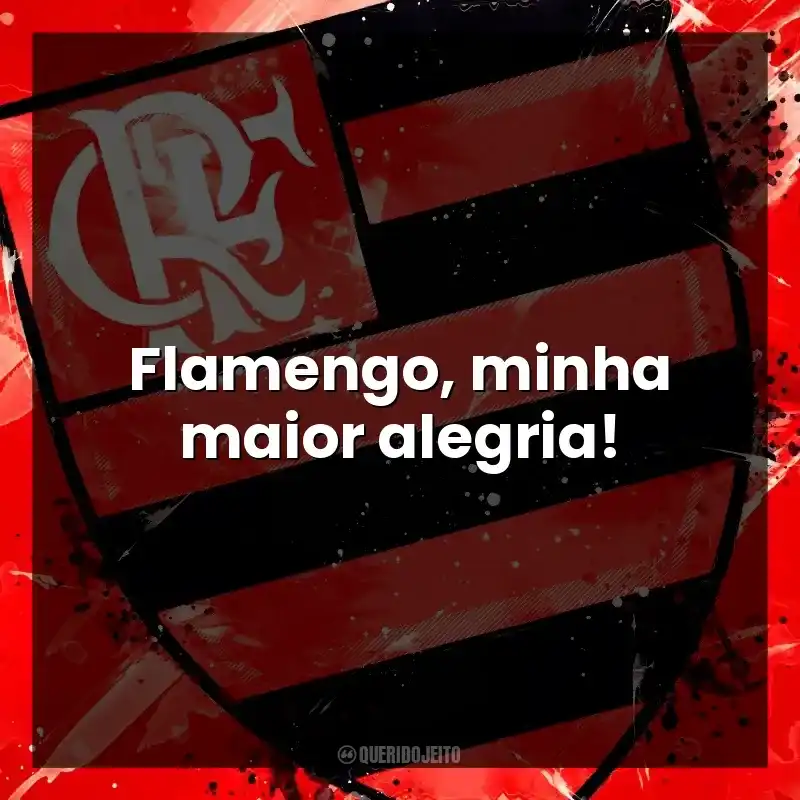 Flamengo, minha maior alegria!