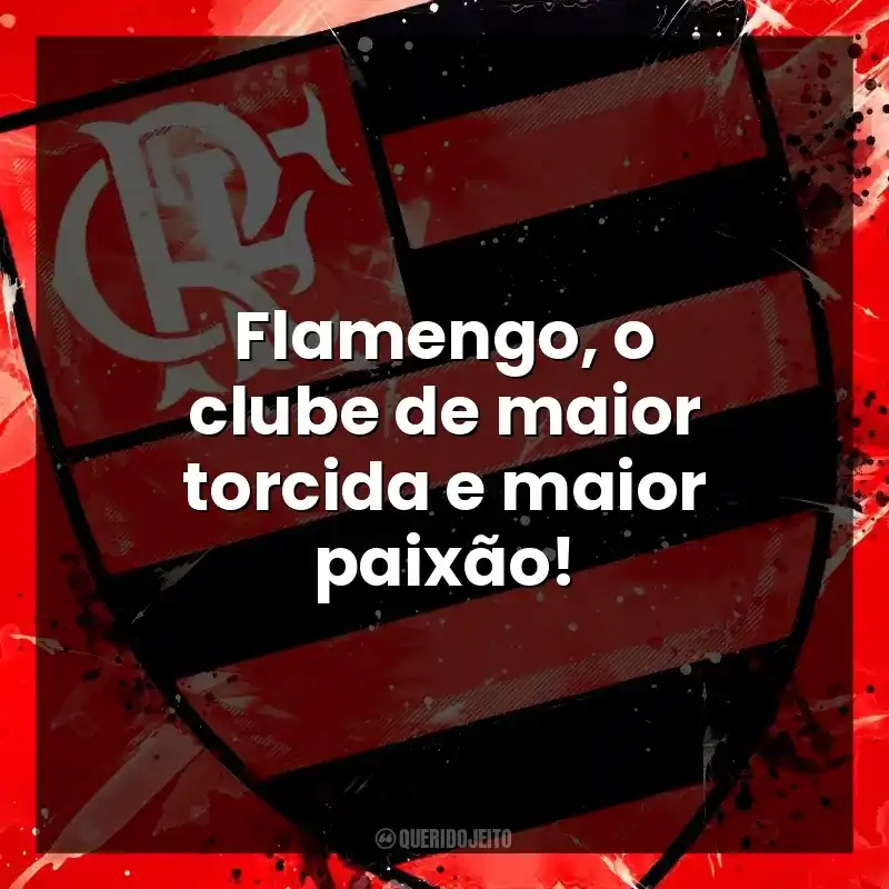 Flamengo, o clube de maior torcida e maior paixão!