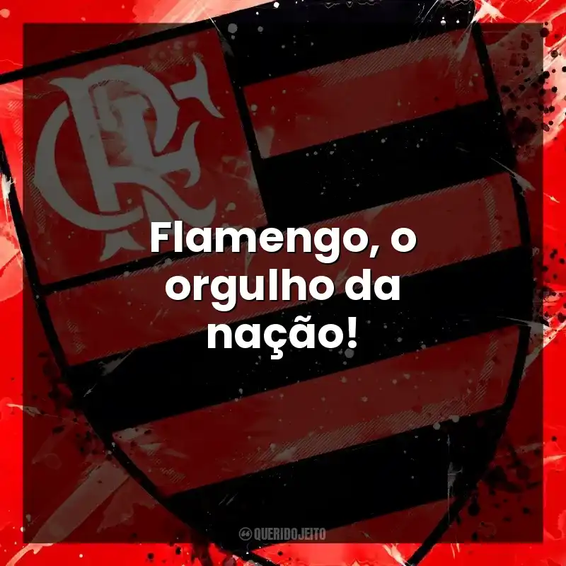 Flamengo, o orgulho da nação!