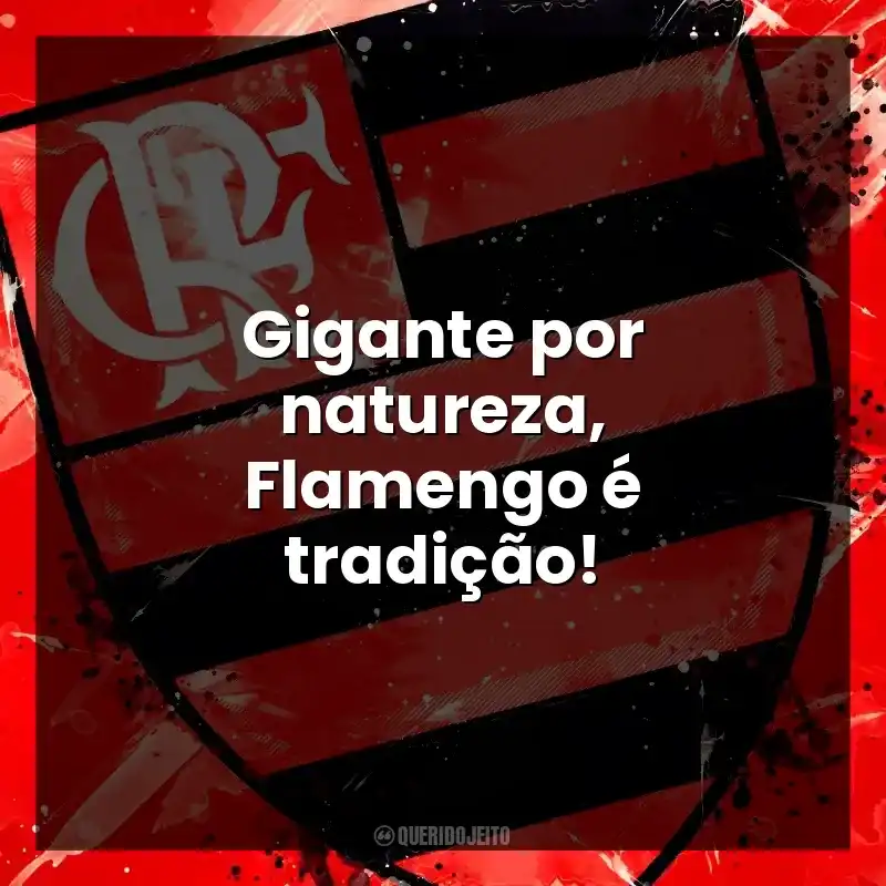 Gigante por natureza, Flamengo é tradição!