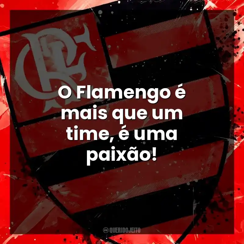 O Flamengo é mais que um time, é uma paixão!