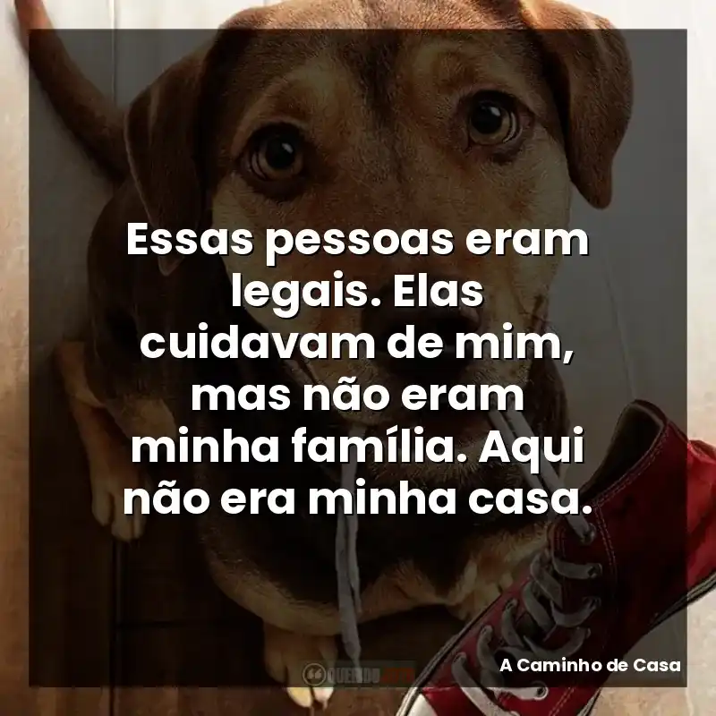 Essas pessoas eram legais. Elas cuidavam de mim, mas não eram minha família. Aqui não era minha casa.