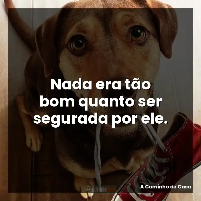 Nada era tão bom quanto ser segurada por ele.