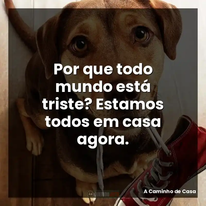 Por que todo mundo está triste? Estamos todos em casa agora.