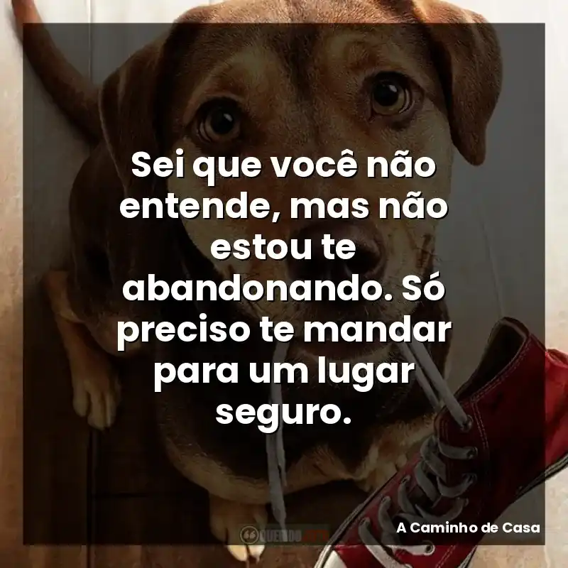 Sei que você não entende, mas não estou te abandonando. Só preciso te mandar para um lugar seguro.