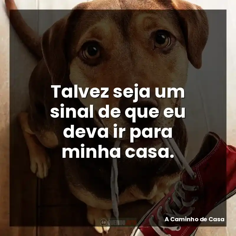 Talvez seja um sinal de que eu deva ir para minha casa.