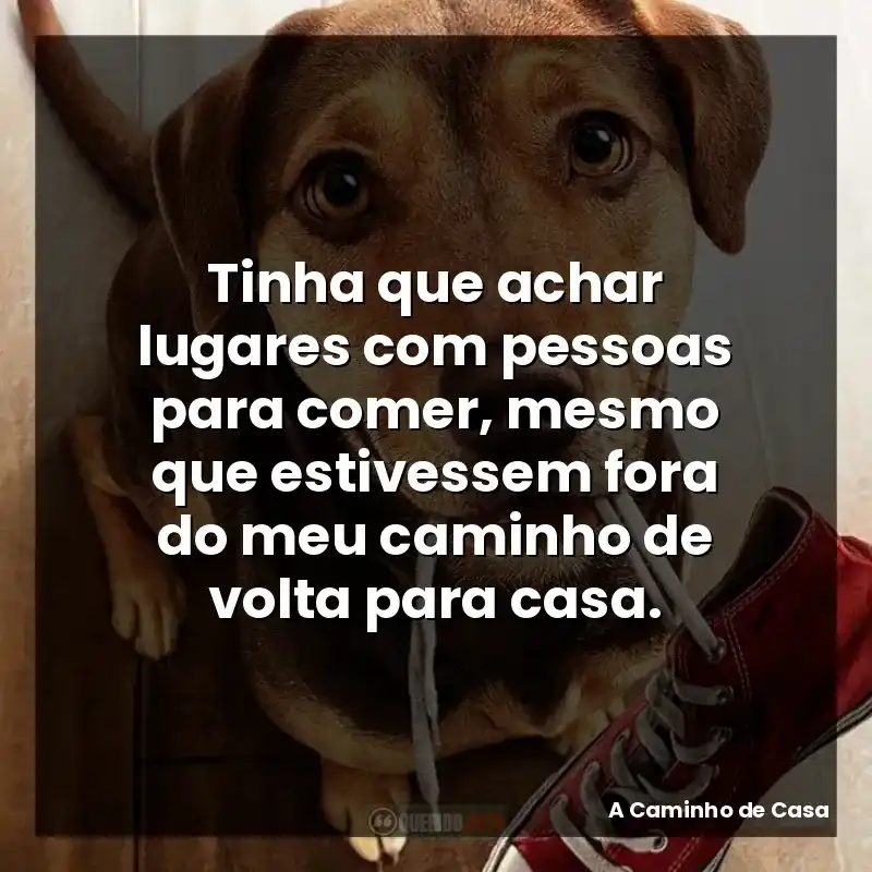 Tinha que achar lugares com pessoas para comer, mesmo que estivessem fora do meu caminho de volta para casa.