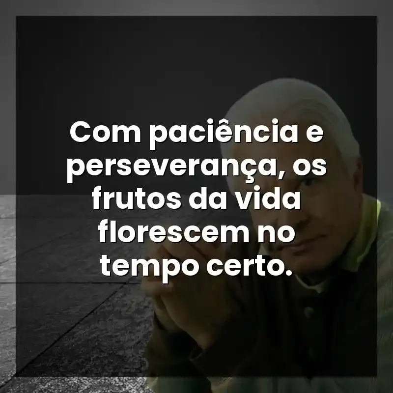 Com paciência e perseverança, os frutos da vida florescem no tempo certo. – Cid Moreira