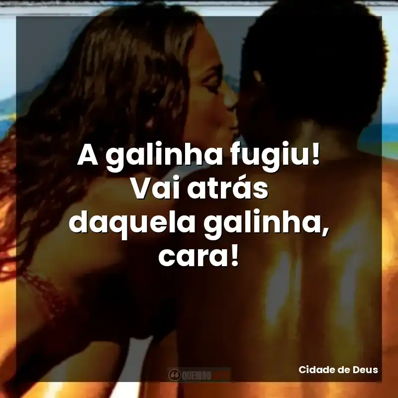 Frases do Filme Cidade de Deus: A galinha fugiu! Vai atrás daquela galinha, cara!
