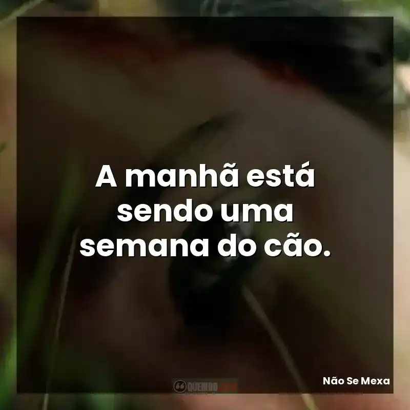A manhã está sendo uma semana do cão.