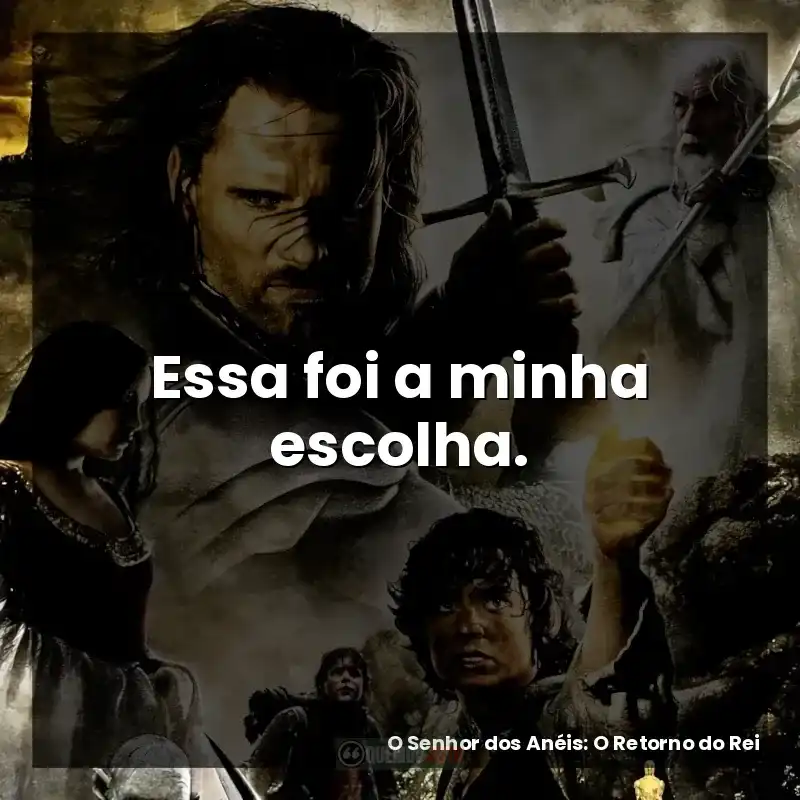 Essa foi a minha escolha.