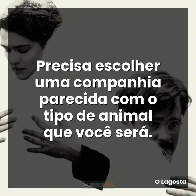 Precisa escolher uma companhia parecida com o tipo de animal que você será.