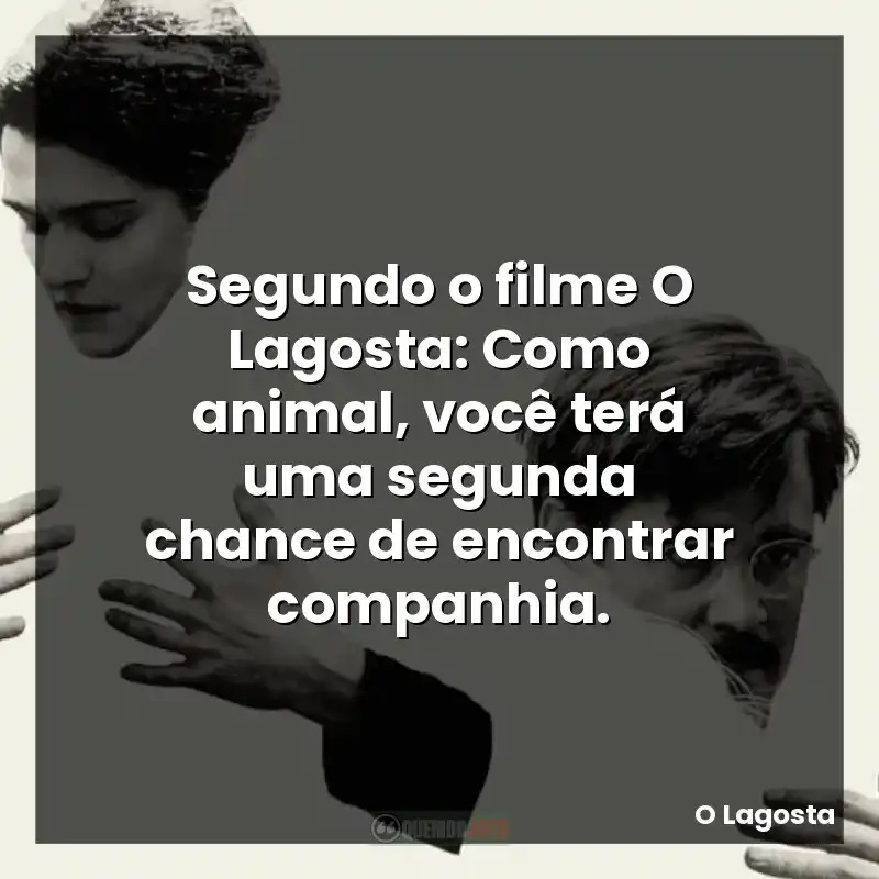 Segundo o filme O Lagosta: Como animal, você terá uma segunda chance de encontrar companhia.