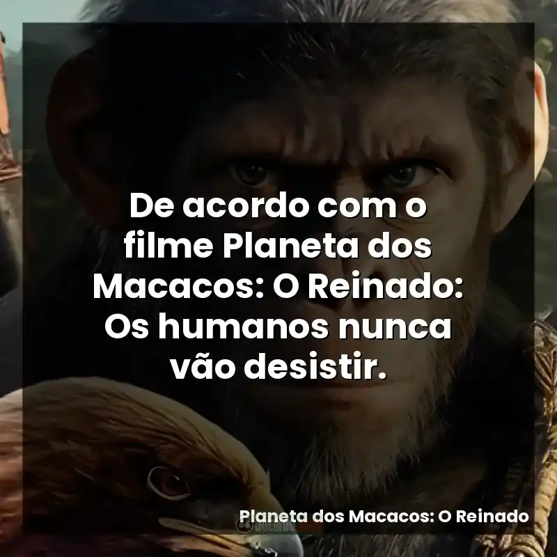 De acordo com o filme Planeta dos Macacos: O Reinado: Os humanos nunca vão desistir.