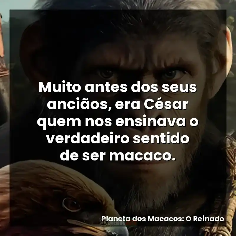 Muito antes dos seus anciãos, era César quem nos ensinava o verdadeiro sentido de ser macaco.