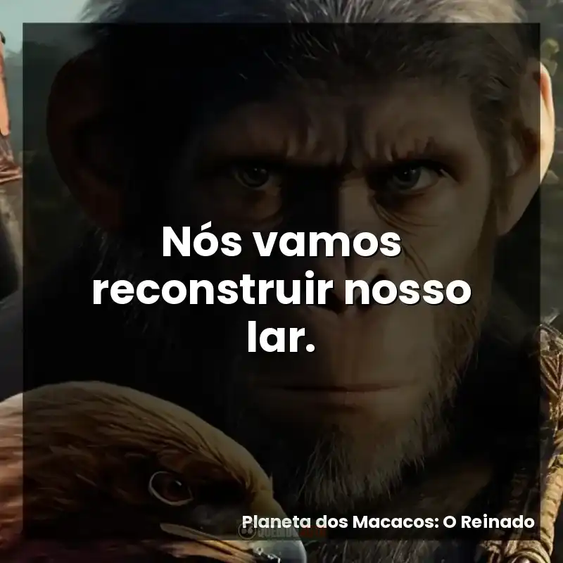 Nós vamos reconstruir nosso lar.