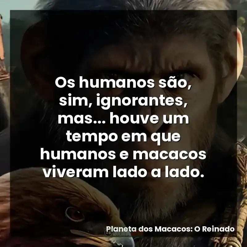 Os humanos são, sim, ignorantes, mas… houve um tempo em que humanos e macacos viveram lado a lado.
