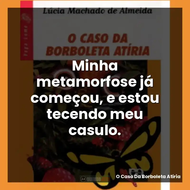 Minha metamorfose já começou, e estou tecendo meu casulo.