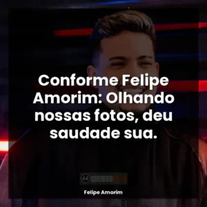 Conforme Felipe Amorim: Olhando nossas fotos, deu saudade sua.